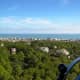 View from the Currituck Lighthouse in Corolla, NC on the Outer Banks of North Carolina