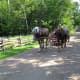 Photos of the Oldest Part of the Acadian Historic Village