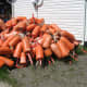 Lobster bouys in St. Martin's.