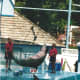 A dolphin show at Hershey Park
