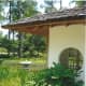 japanese-tea-garden-in-houston-texas-serenity-in-hermann-park