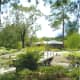 japanese-tea-garden-in-houston-texas-serenity-in-hermann-park