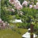 japanese-tea-garden-in-houston-texas-serenity-in-hermann-park