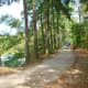 Hiking and biking paths in Meyer Park