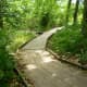 Wooden walkways - Houston Arboretum