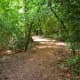 Houston Arboretum path through a wooded area 