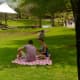 Great place to picnic and play