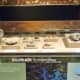 Many fossils at HMNS Sugar Land