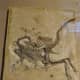 Small Theropod Dinosaur fossil from Late Jurassic