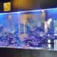 Large 2,000 gallon saltwater aquarium