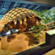Armored Dinosaur Ankylosaurus magniventris – Cretaceous – 145 million years ago