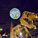 Looking up at Tyrannosaurus Rex & Science on a Sphere
