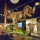 Tyrannosaurus Rex & Struthiomimus Dinosaur casts at HMNS Sugar Land