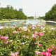 Hermann Park