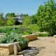 Food is grown in Mandell Park
