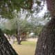 Paseo Park