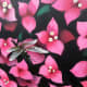 Closeup of Mini Mural by w3r3on3
