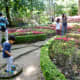 Butterfly shaped garden