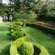 Sculpted boxwood
