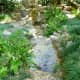Verdant greenery in the gardens