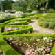 Manicured beds in Clio garden