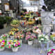 Flowers in Bloemenmarkt.