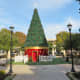 Central Green Park decorated for Christmas
