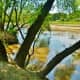 Buffalo Bayou