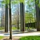 gus-and-lyndall-wortham-park-and-wortham-fountain-comparing-both-houston-sites