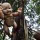 three-real-cases-of-haunted-dolls