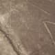 Nazca Geoglyphs