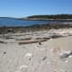 Shoreline off of Wonder Land Trail