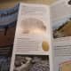 Pebble brochure.