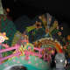 holiday-magic-at-disneyland