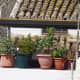 olvera-spain-a-place-in-the-sun