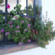 olvera-spain-a-place-in-the-sun
