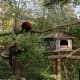 Szeged Zoo