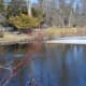 This half frozen pond is beautiful in late winter, even more so in Michigan's other 3 extreme seasons.