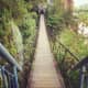 A rickety old bridge over a steep drop.