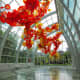 Chihuly Garden and Glass in Seattle