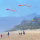 Kids flying kites at Cannon Beach