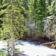 Hidden Falls Trail at Grand Teton National Park in Wyoming