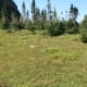 Grassy mountainside