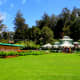 A green carpet at the Botanical Garden