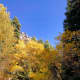 Fall Colors at Timpanogos Cave National Monument