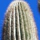 places-to-visit-in-arizona-slide-rock-grasshopper-point-apache-wash-trailhead