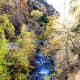 Fall Colors at Timpanogos Cave National Monument