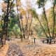 Path Through Millcreek Canyon in Fall