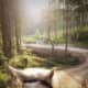 Take a two to six hour journey though the Triglav National Park with a horse!
