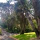 The Botanic Gardens are full of steep walks.